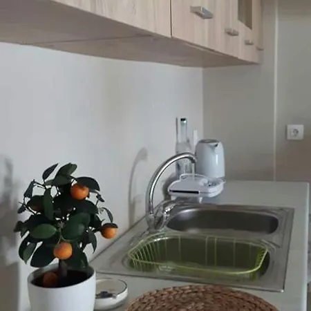 Toucan Center Apartment Zakynthos Town
